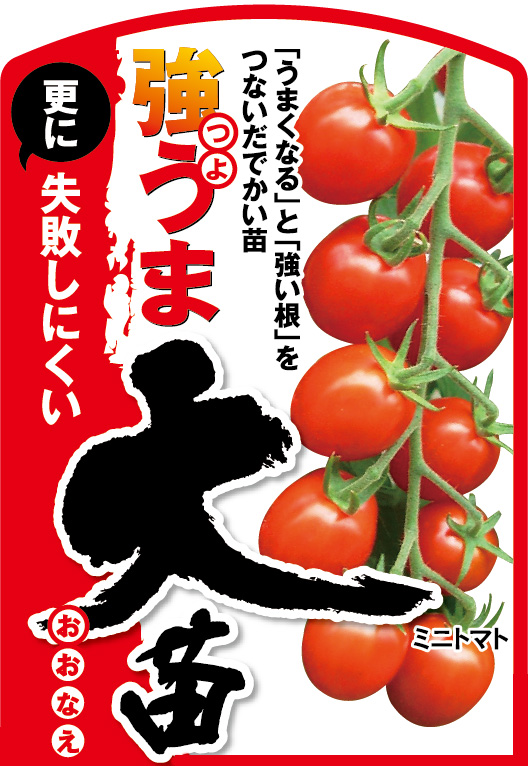 トリプロ / ターコイズ GT ミニトマト 苗 \u0026 大玉トマト 苗