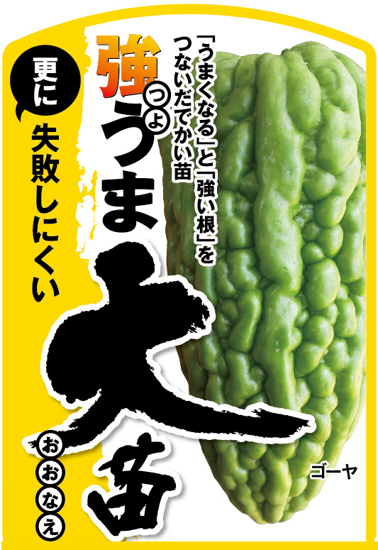 よくなるゴーヤ ビバホームオリジナル 強うま大苗 よくなるゴーヤ ビバホームオリジナル 強うま大苗