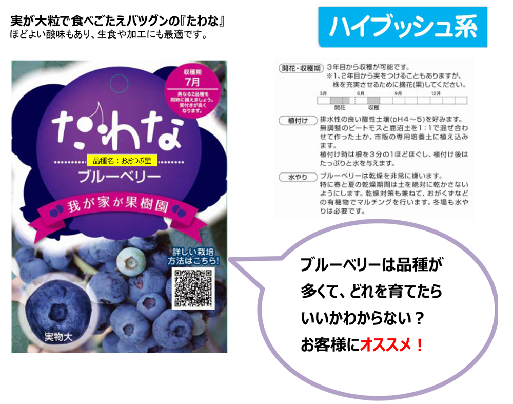 果樹 庭木 花木の栽培 ホームセンター ビバホーム Diyからリフォームまで暮らしをもっと快適に