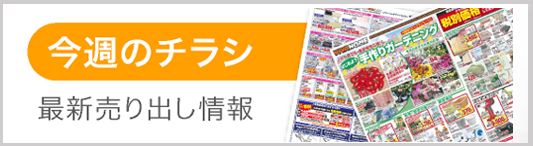 スーパービバホーム東松山モール店 ホームセンター ビバホーム Diyからリフォームまで暮らしをもっと快適に