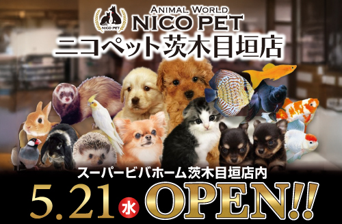 ニコペット茨木目垣店オープン