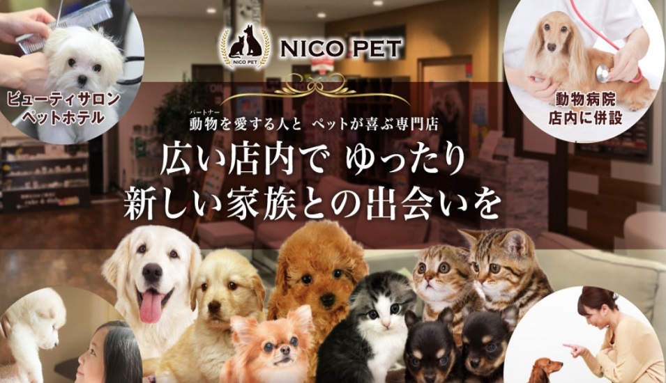 ホームセンター ビバホーム Diyからリフォームまで暮らしをもっと快適に