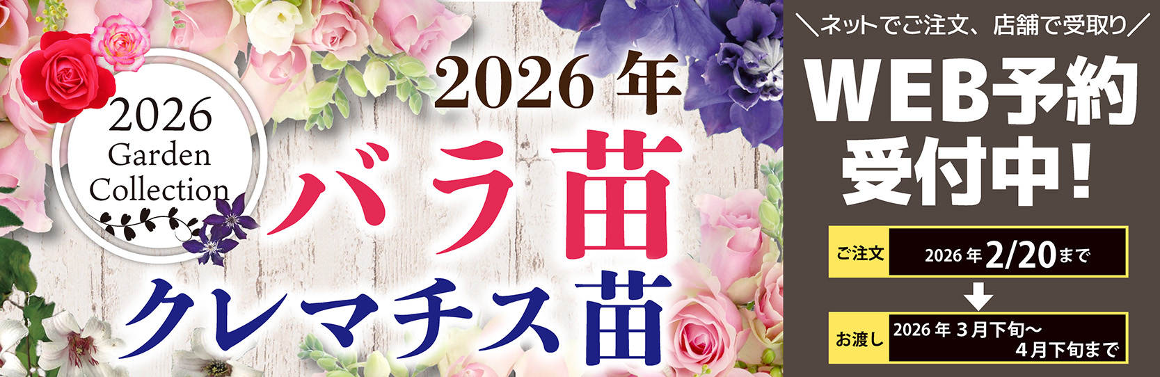 バラ苗・クレマチス苗ご予約
