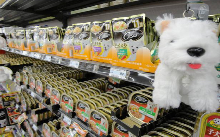 フロアガイド ホームセンター ビバホーム Diyからリフォームまで暮らしをもっと快適に